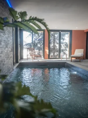 location chalet luxe piscine