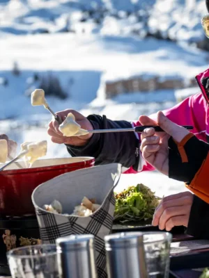 catered chalet la plagne