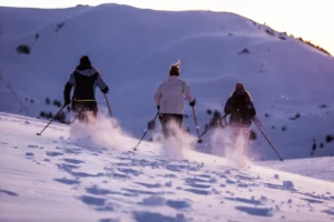 vue la plagne
