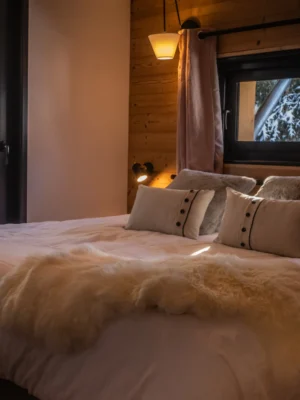 luxury ski chalet