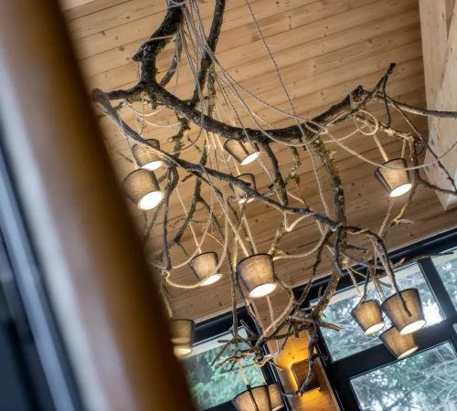 location chalet luxe