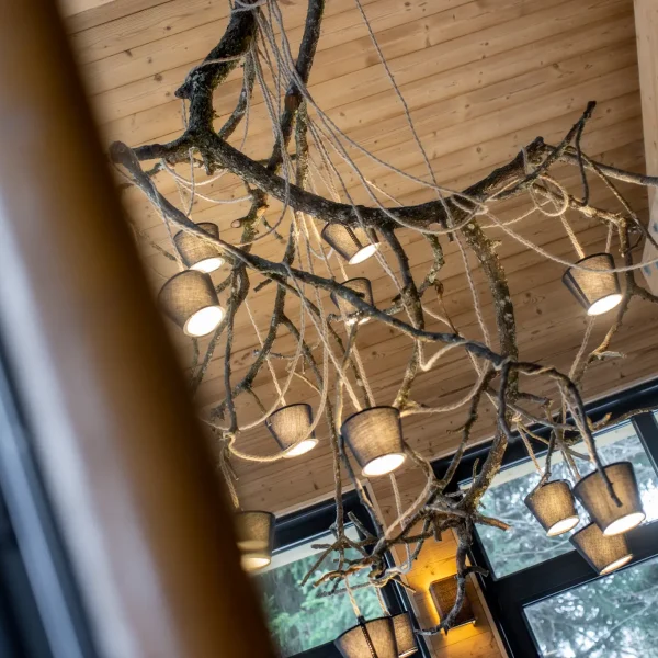 location chalet luxe
