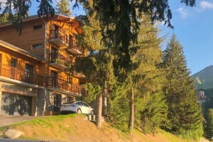 Location chalet La Plagne pour 12 personnes