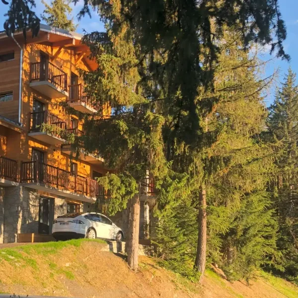Location chalet La Plagne pour 12 personnes