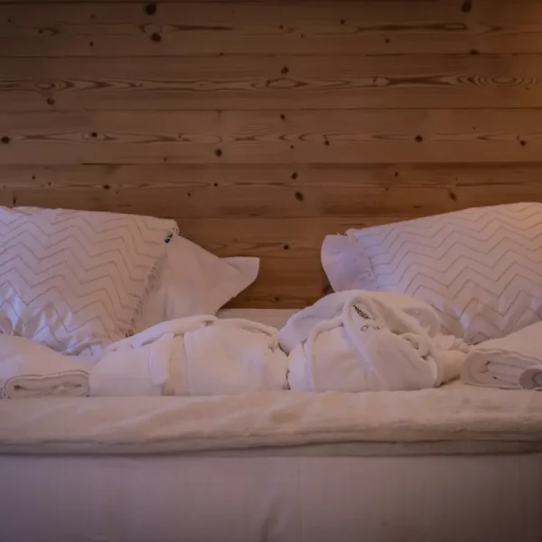 la plagne luxury chalet