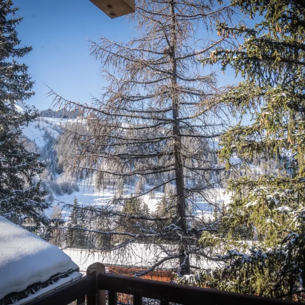La Plagne