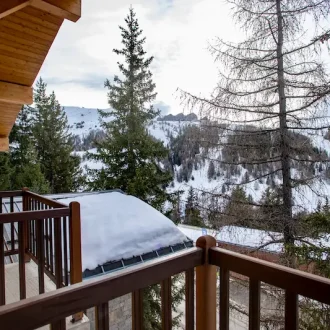 location chalet luxe la Plagne