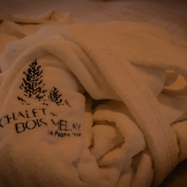 luxury ski chalet rental